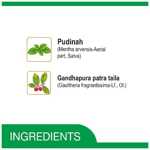 Amrutanjan Pain Balm 50 Ml