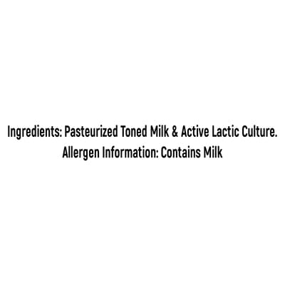 Milky Mist Curd Cup 1 Kg