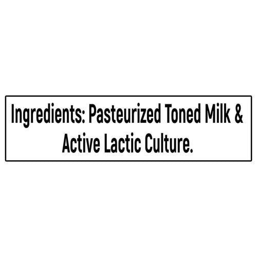 Milky Mist Curd Cup 1 Kg