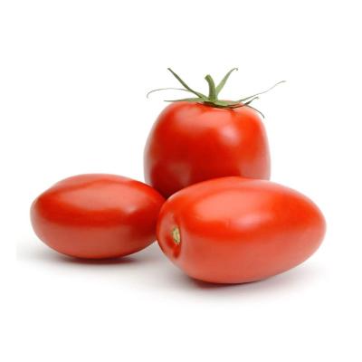 Starfresh Tomato Hybrid About 250 Gm