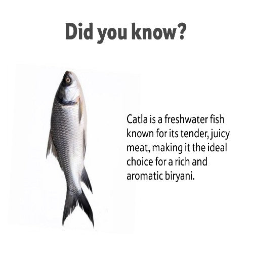 Starfresh Fresh Water Catla Whole (Bengali Curry Cut) About 1.2 Kg To 2 Kg