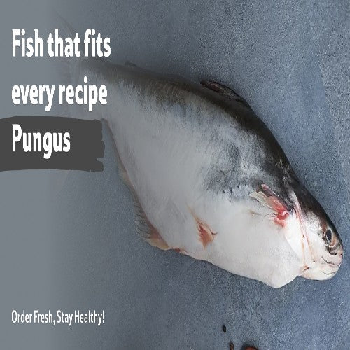 Starfresh Fresh Water Pungus Whole Round Cut Gross 1Kg Net 800G