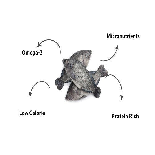 Starfresh Fresh Water Tilapia Fillet Cut Gross 600 Gm, Fillet 250 Gm