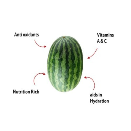Starfresh Watermelon Sugar Queen About 1.5 To 2.5 Kg
