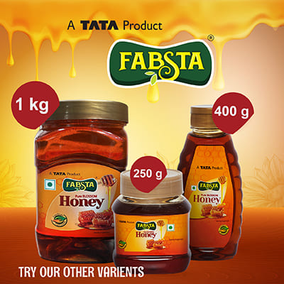 Fabsta Honey Combi 2X400 Gm