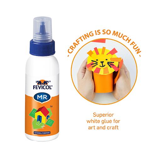 Fevicol Mr-Easy Flow 100 Gms