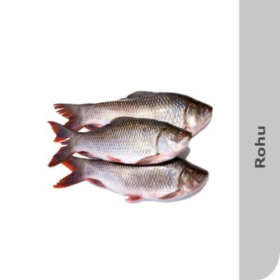Starfresh Fresh Water Rohu (Round Cut) About 1 Kg To 1.5 Kg